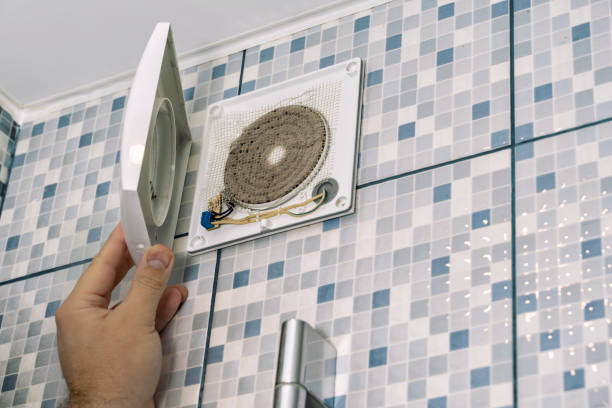 Best Air Duct Sanitizing Services  in Wapello, IA