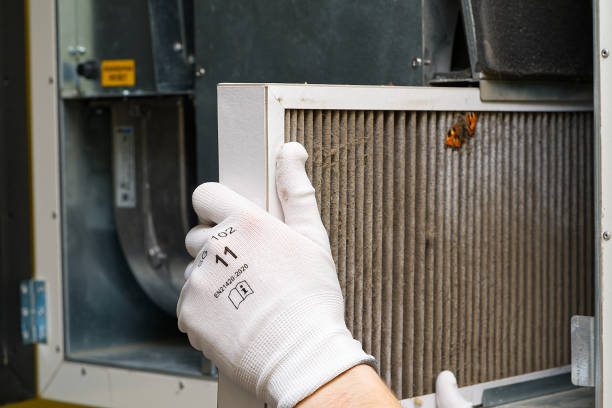 Best Air Duct Cleaning Near Me  in Wapello, IA