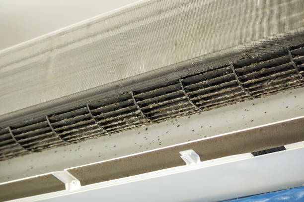 Best Air Quality Test  in Wapello, IA